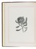 Surprising respect for Australian Aboriginal languages, with 4 botanical wood engravings and colour-printed decorations
