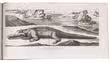 First scientific study of the St. Pietersberg at Maastricht