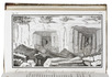 On the geology and plants of Mount Saint Peter in Maastricht