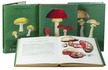 Modern standard work on mushrooms, with 316 chromolithographed plates