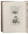 Baglivi's complete works: including his famous and influential treatise on tarantulas