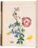 Beautiful and imporant treatise on entomology, with 120 colour plates