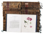The first Dutch flora: a botanical work of epic proportions