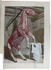 Horse anatomy in contemporary colour