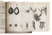 On the metamorphosis of insects, with 13 engraved plates