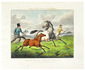 The progression of a race horse through successive stages of life, with 7 hand-coloured plates