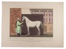 Only copy located of a hand-coloured print series of Arabian horses, after drawings made in Baghdad