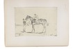 36 drawings of famous English thoroughbred race horses, mostly ca. 1850