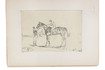 36 drawings of famous English thoroughbred race horses, mostly ca. 1850