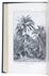 Four articles on the date palm in the Middle East, northern Africa and America