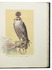 Exquisitely produced work on falconry and horse riding, with many coloured illustrations