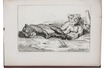 Picart's 42 lion prints, including 8 by Picart from life and 18 after Rembrandt