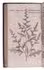 Rare herbal intended for apothecaries