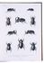 Beetles of Madagascar, with 54 engraved plates depicting numerous species