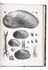 Land and fresh-water molluscs of France, with 31 plates, presentation copy
