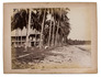 20 large photographic views of Singapore ca. 1870