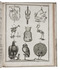 First general systematic treatise on comparative anatomy
